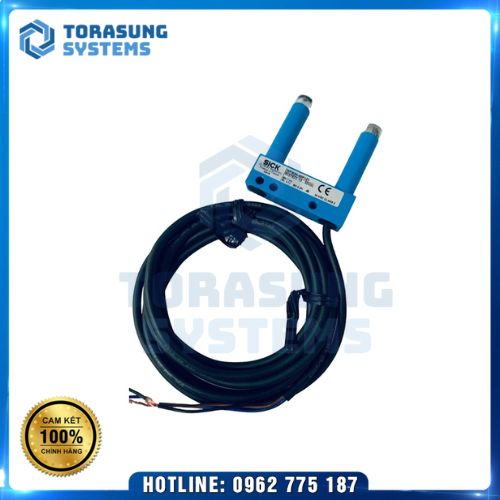 Cảm biến quang Sick WFM80-60N321