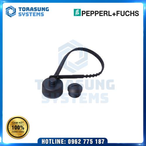 Cảm Biến Quang Pepperl Fuchs OMD25M-R2000-B23-V1V1D-SD-1L